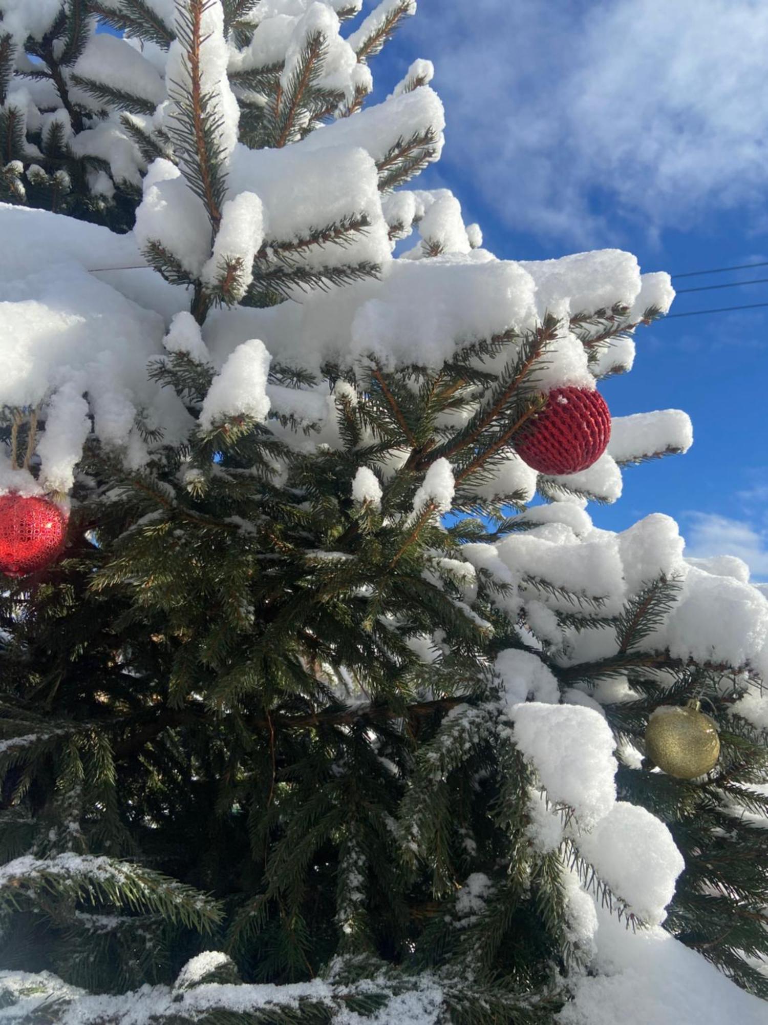 Karpats'Kyi Kalejdoskop Slavske Exterior foto